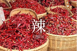 辣 Hot