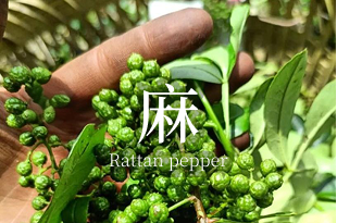 麻 Rattan pepper